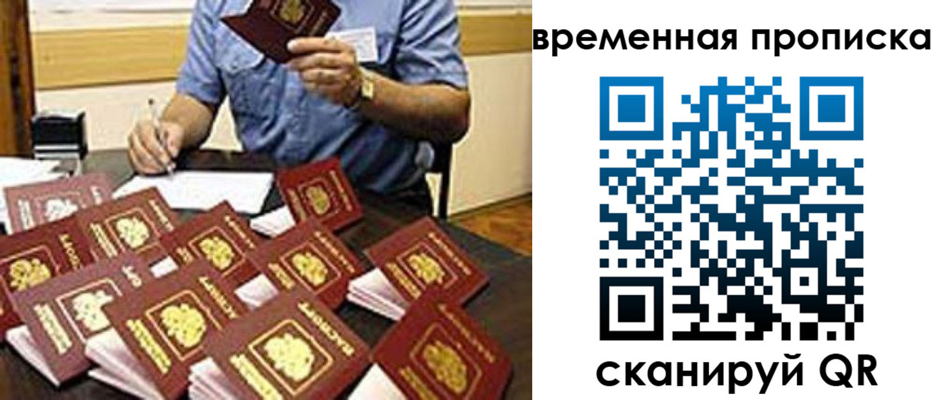 прописка для школы в Протвино